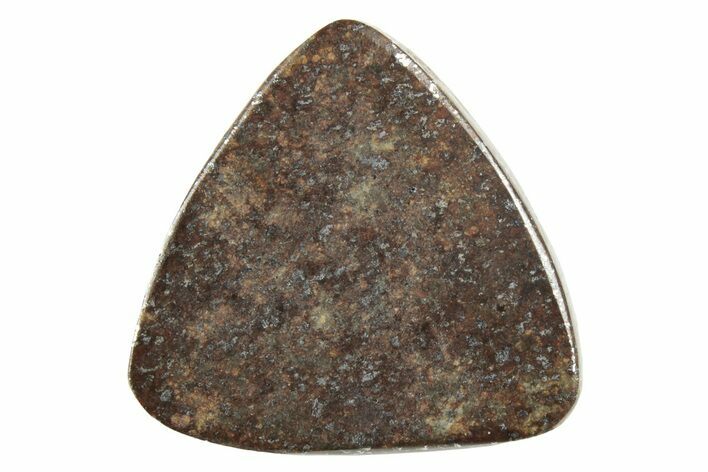 Stony Chondrite Cabochon ( g) - Meteorite #238214